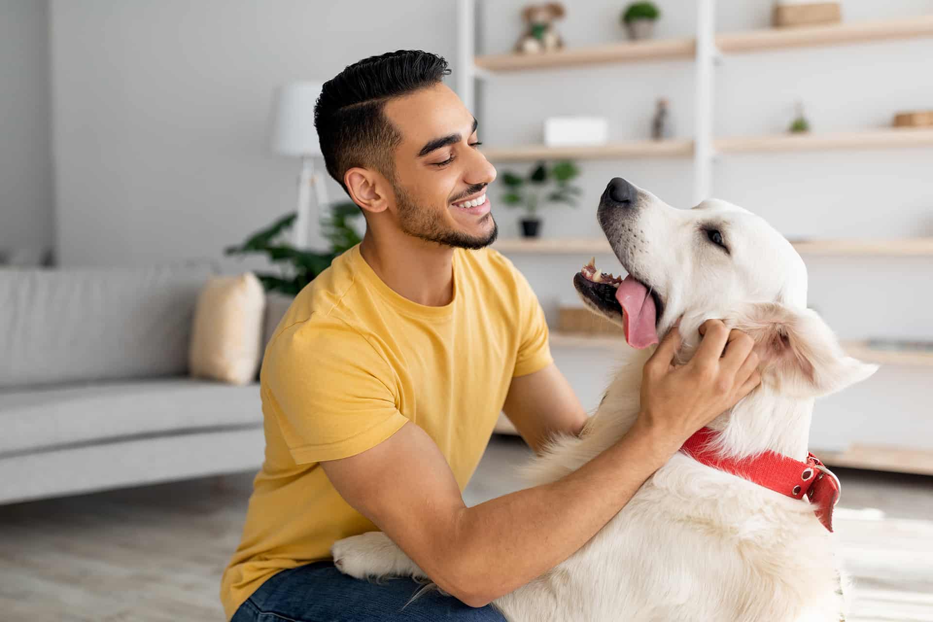 What are the Emotional Support Animal Laws in Texas?